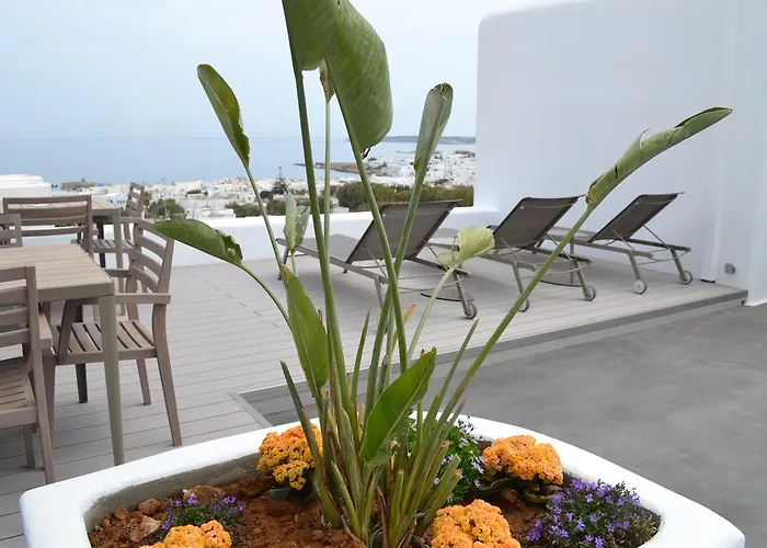 Papadakis Naousa (Paros)