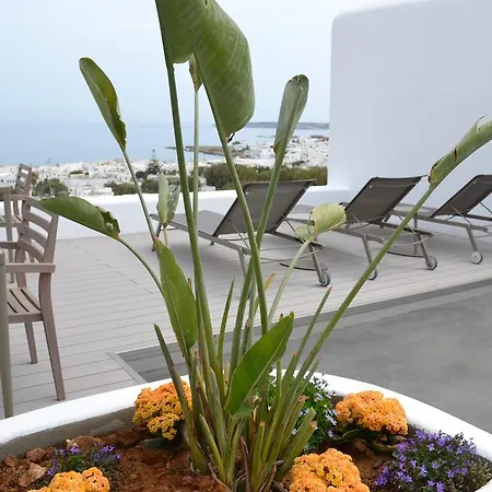 Papadakis Naousa (Paros)